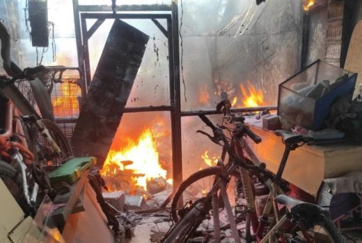 Peternakan Kelinci di Rungkut Surabaya Hangus Terbakar - GenPI.co JATIM