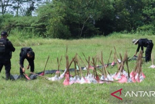 Polres Bangkalan Musnahkan Petasan, Puluhan Rumah Rusak - GenPI.co JATIM