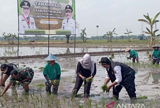 Pemprov Jatim Gandeng Perusahaan Swasta, Digitalisasi Pertanian - GenPI.co JATIM