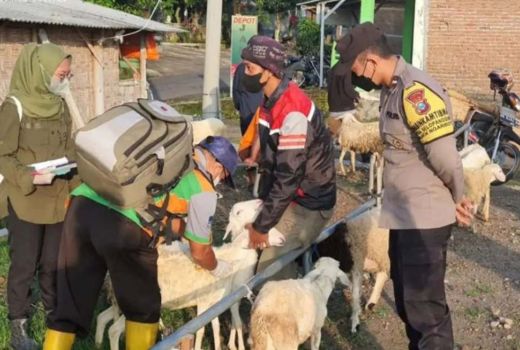 Polres Magetan Awasi Hewan Ternak, Cegah Penularan Wabah PMK - GenPI.co JATIM
