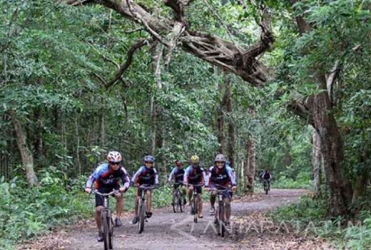 4 Destinasi Wisata Banyuwangi dengan Suasana KKN Desa Penari - GenPI.co JATIM