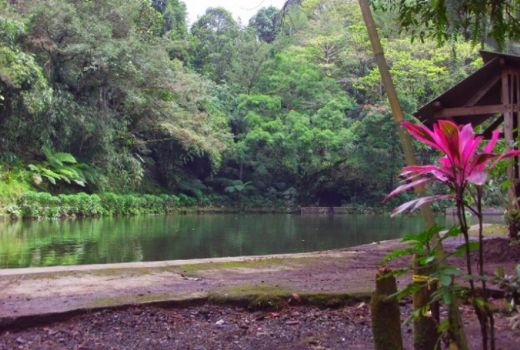 Rowo Bayu Dikaitkan Lokasi Asli KKN Desa Penari, jadi Merinding - GenPI.co JATIM