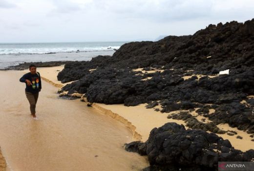 Pantai Parang Ireng Banyuwangi, Destinasi Unik di TN Alas Purwo - GenPI.co JATIM