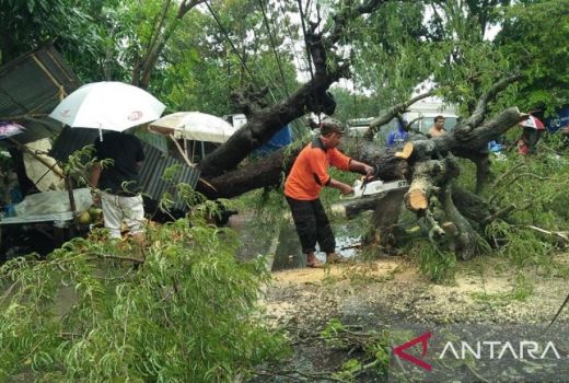 Cuaca Ekstrem Terjang Pamekasan, 6 Bangunan Dilaporkan Rusak - GenPI.co JATIM