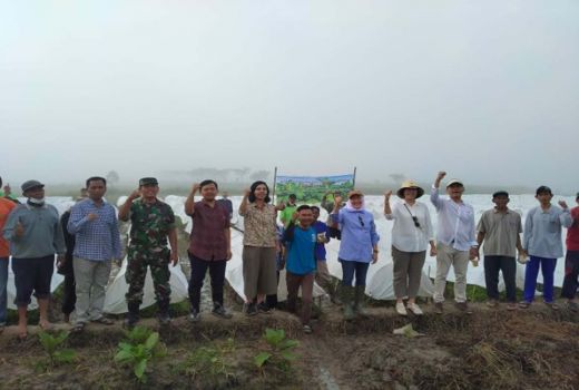 DKPP Bojonegoro Beri Bibit Unggul Tembakau, Petani Senang - GenPI.co JATIM