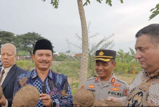 Kabar Baik, Porang Kota Madiun Bakal Mendunia - GenPI.co JATIM