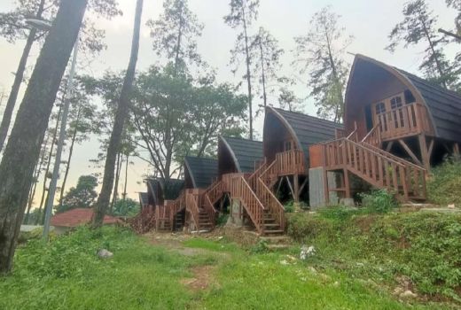 Rekomendasi Penginapan di Pacet dengan Nuansa Rumah Pohon - GenPI.co JATIM