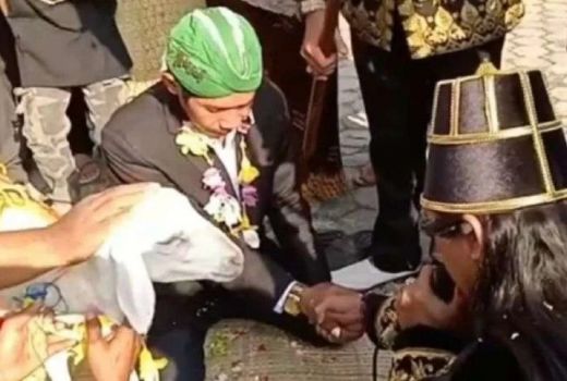 Heboh Pria Gresik Menikah dengan Kambing, MUI Bertindak Tegas - GenPI.co JATIM