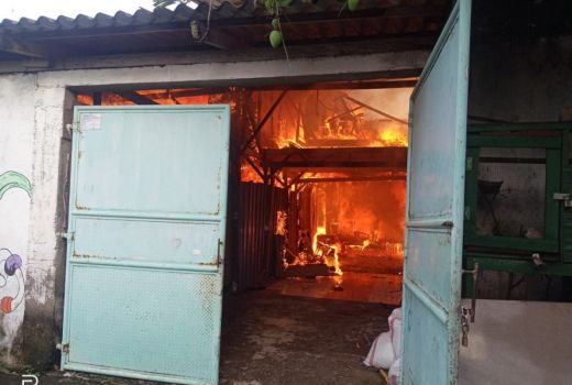 Berniat Musnahkan Sarang Tawon, Toko di Surabaya Justru Terbakar - GenPI.co JATIM