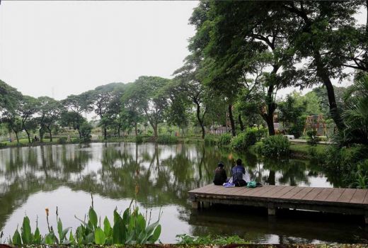4 Alasan Anda Wajib Wisata ke Kebun Bibit Wonorejo Surabaya - GenPI.co JATIM