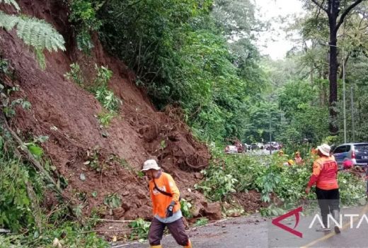 Longsor di Gunung Gumitir, Jalur Jember-Banyuwangi Macet Parah - GenPI.co JATIM
