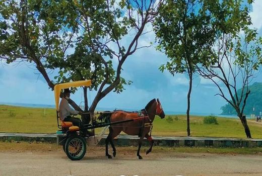 3 Alasan Wajib Anda Berwisata ke Pantai Teleng Ria Pacitan - GenPI.co JATIM