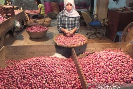 Mak-Mak di Jember Menjerit, Harga Bawang Merah Naik Tak Kauran - GenPI.co JATIM
