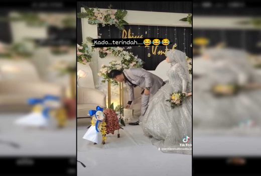 Pernikahan di Gresik Heboh, Mempelai Dapat Kado Kambing - GenPI.co JATIM