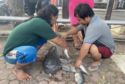 Putra Bawa Jaring ke Sungai Kalimas, Sejam Sudah Dapat Sekarung - GenPI.co JATIM