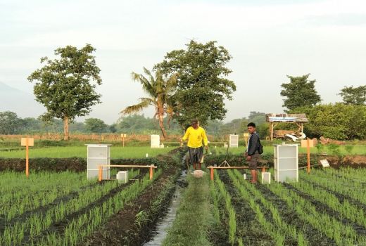 Vegetasi DAS Rejoso Pasuruan Butuh Perhatian Bersama - GenPI.co JATIM