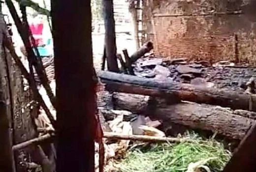 Fakta Kandang Sapi Hangus di Situbondo, Penyebabnya Tak Terduga - GenPI.co JATIM