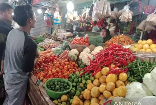 Daftar Harga Bahan Pokok di Jember Terbaru, Mak-Mak Perhatikan - GenPI.co JATIM
