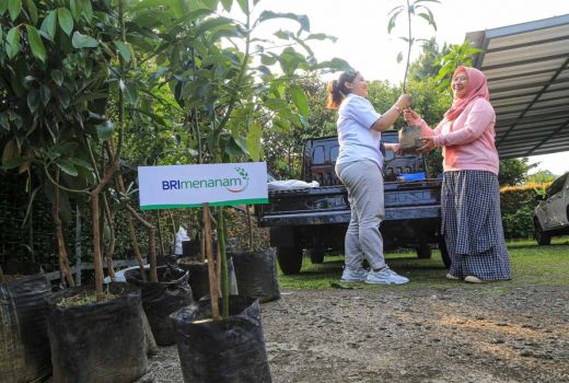 BRI Tanam 108 Ribu Pohon, Dukung Pengurangan Emisi CO2 - GenPI.co JATIM