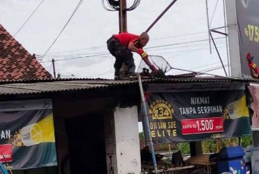 Warga Sukorame Kediri Geger, Kawanan Monyet Serbu Kampung - GenPI.co JATIM