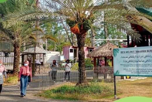 5 Tempat wisata di Pasuruan yang Wajib Dikunjungi, Ada Kebun Kurma - GenPI.co JATIM