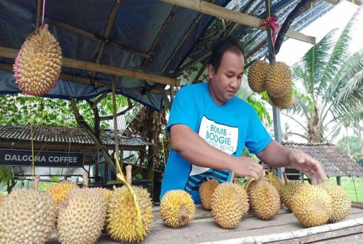 Kisah Sukses Pedagang Durian Banyuwangi, Ketekunannya Berbuah Cuan - GenPI.co JATIM