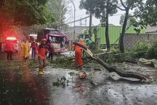 Cuaca Ekstrem di Malang Sebabkan Banjir Hingga Pohon Tumbang - GenPI.co JATIM