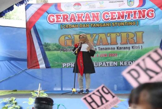 Profil Dewi Mariya Ulfa, Terjun Politik Langsung Menjabat Wabup Kediri - GenPI.co JATIM