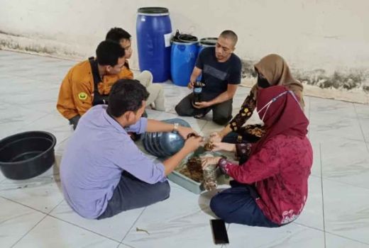 Tips Mengolah Limbah Singkong Jadi Pakan Ternak, Dosen Unej: Diolah Dulu - GenPI.co JATIM