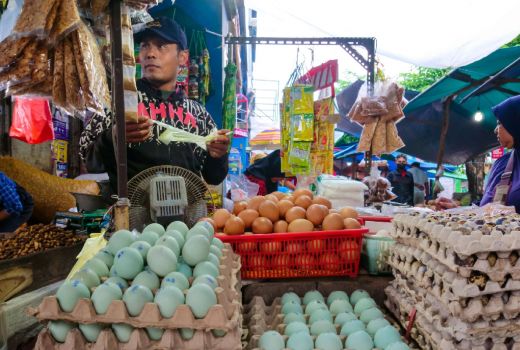 Harga Telur Ayam di Sidoarjo Naik, Pedagang Gigit Jari Pembeli Turun - GenPI.co JATIM