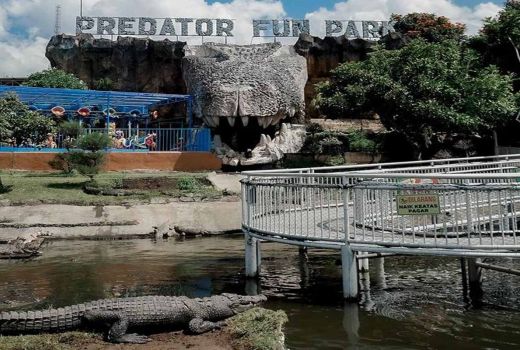 3 Wisata Ramah Anak di Kota Batu, Cocok Buat Liburan Akhir Tahun - GenPI.co JATIM