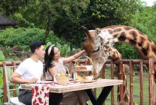 Baobab Safari Resort Sediakan Atraksi Wisata Khusus di Malam Tahun Baru - GenPI.co JATIM