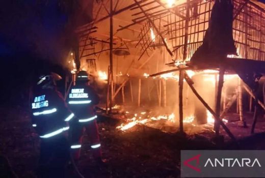 Kronologi Kebakaran Kandang Ayam Tulungagung, Pemilik Dengar Suara Ledakan - GenPI.co JATIM
