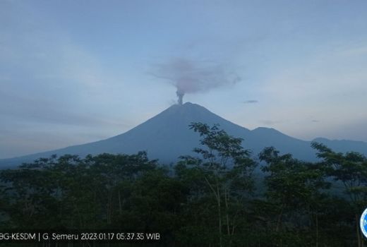 Gunung Semeru Meletus, Warga Dilarang Beraktivitas Terlalu Dekat - GenPI.co JATIM