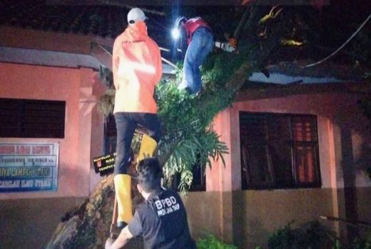 Puting Beliung Sapu Desa di Mojokerto, Pohon Tumbang Hingga Kubah Masjid Ambrol - GenPI.co JATIM