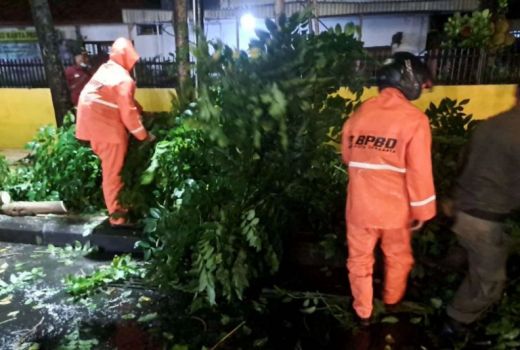 Daftar 10 Pohon Tumbang di Surabaya, Dampak Hujan Lebat Disertai Angin - GenPI.co JATIM