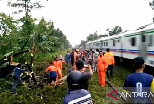 Pohon Tumbang di Madiun Tutup Jalur Kereta Api, Butuh 1 Jam Evakuasi - GenPI.co JATIM