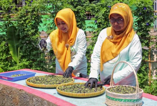 Berkat BRInita, Teh Herbal Jadi Produk Unggulan Poktan Bensor Semarang - GenPI.co JATIM