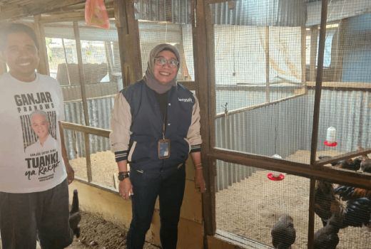 Program Pemberdayaan BRI Dorong Pertumbuhan Peternakan Ayam di Surabaya - GenPI.co JATIM