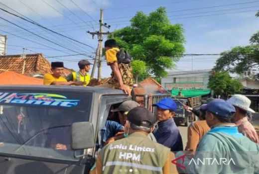 DKPP Pamekasan: 24 Ekor Sapi Mati Akibat Wabah PMK - GenPI.co JATIM
