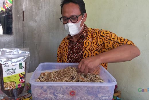 Intip Peluang Usaha Melalui Budi Daya Maggot di Tengah Pandemi - GenPI.co JATIM