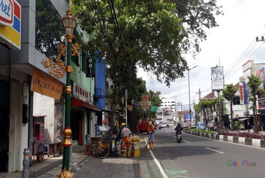 Tak Sengaja Tabrak Lampu Kayutangan, Sopir Pikap Dapat Jempol DLH - GenPI.co JATIM