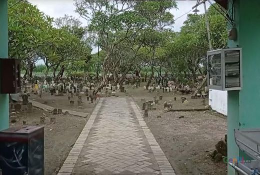 Sempat Viral, ini Kondisi Terakhir Makam Sidoarjo yang Dibongkar - GenPI.co JATIM