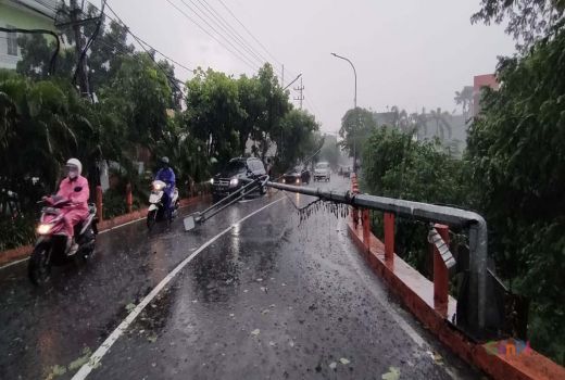 Hujan Disertai Angin Kencang, Tumbangkan Pohon dan PJU - GenPI.co JATIM