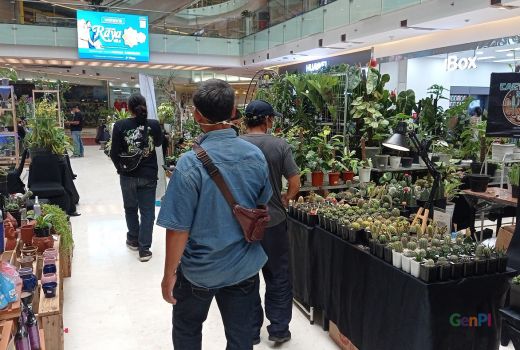 Meriahnya Exotic Plants Surabaya, Grand City Mall Mendadak Hijau - GenPI.co JATIM