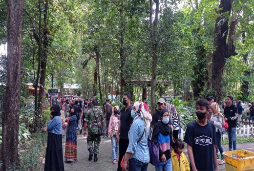 Pantangan Berwisata ke KBS, Pengunjung Wajib Perhatikan - GenPI.co JATIM