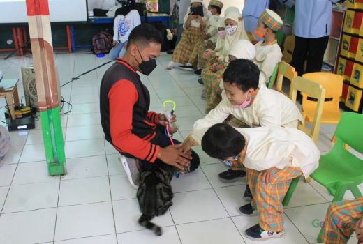 Viral Petisi Selamatkan Kucing Splendid, SCD Malang: Adopsi Saja - GenPI.co JATIM