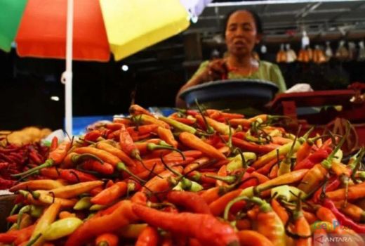 Pedagang Gusar Lihat Harga Cabai di Kota Malang, Mak-Mak Pusing - GenPI.co JATIM