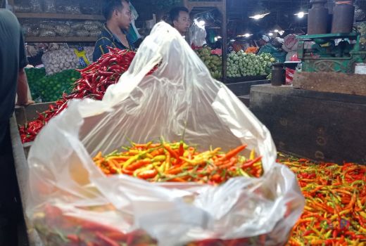 Update Harga Cabai di Surabaya, Kabar Baik untuk Pencinta Pedas - GenPI.co JATIM