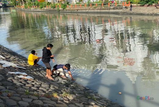 Ikan Mabuk di Sungai Kalimas Surabaya Jadi Ladang Rezeki Warga - GenPI.co JATIM